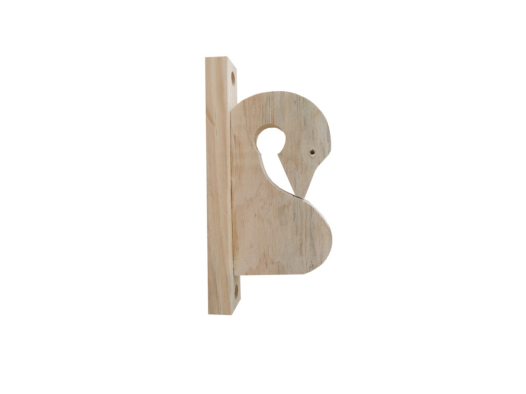 cisne2