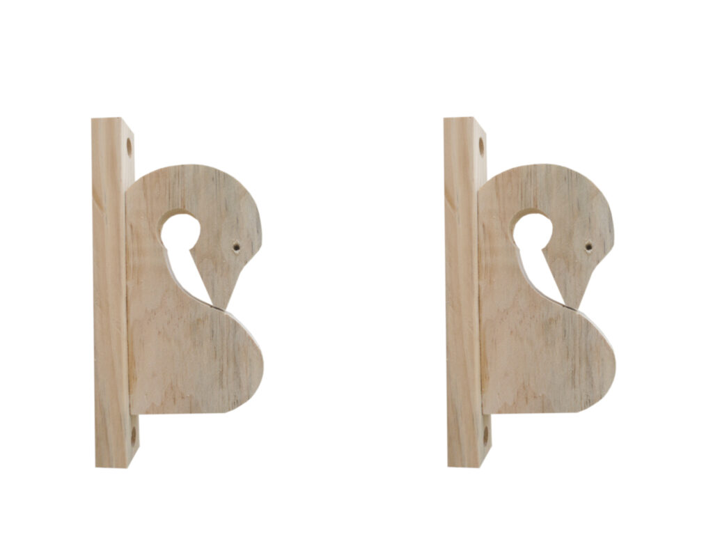 cisne3