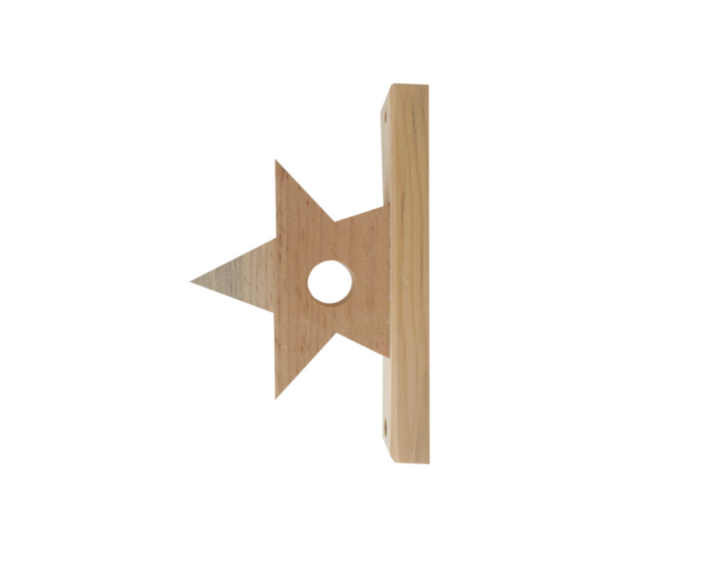 estrella2